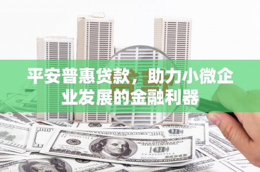 风顺堂区平安普惠贷款，助力小微企业发展的金融利器