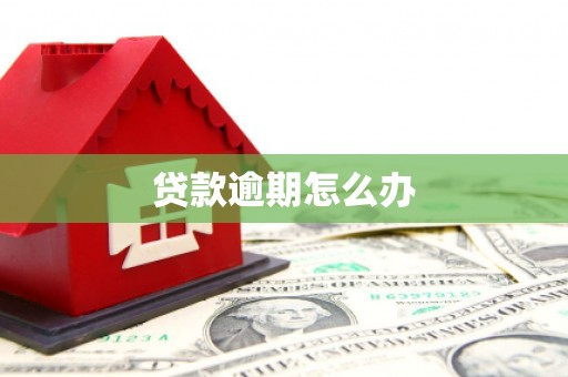 风顺堂区贷款逾期怎么办