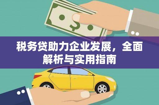 风顺堂区税务贷助力企业发展，全面解析与实用指南