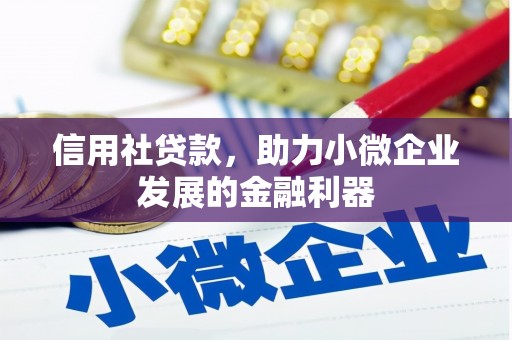 风顺堂区信用社贷款，助力小微企业发展的金融利器