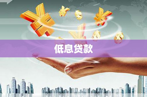 风顺堂区低息贷款