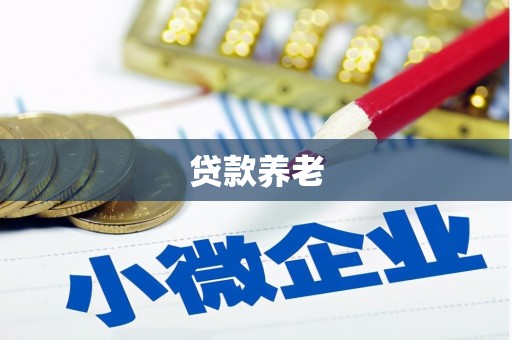 风顺堂区贷款养老