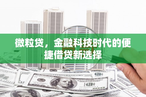 风顺堂区微粒贷，金融科技时代的便捷借贷新选择