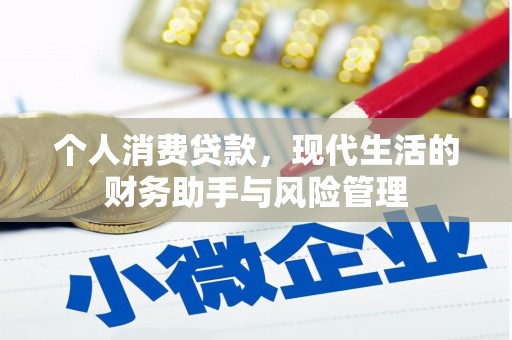 风顺堂区个人消费贷款，现代生活的财务助手与风险管理