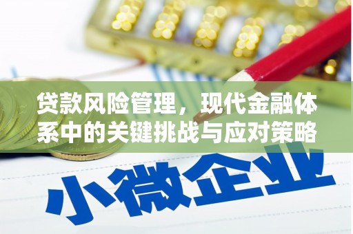 风顺堂区贷款风险管理，现代金融体系中的关键挑战与应对策略