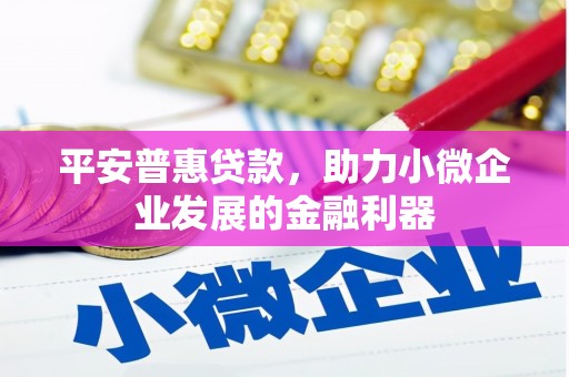 风顺堂区平安普惠贷款，助力小微企业发展的金融利器