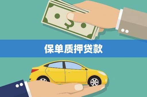 风顺堂区保单质押贷款