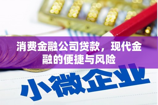 风顺堂区消费金融公司贷款，现代金融的便捷与风险
