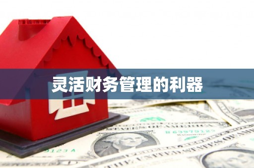 风顺堂区灵活财务管理的利器
