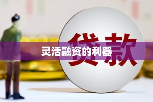 风顺堂区灵活融资的利器