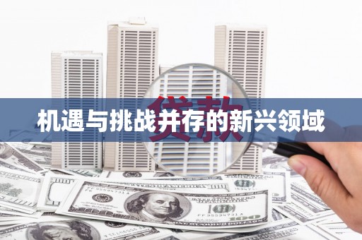 风顺堂区机遇与挑战并存的新兴领域
