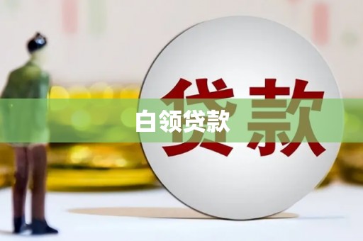 风顺堂区白领贷款