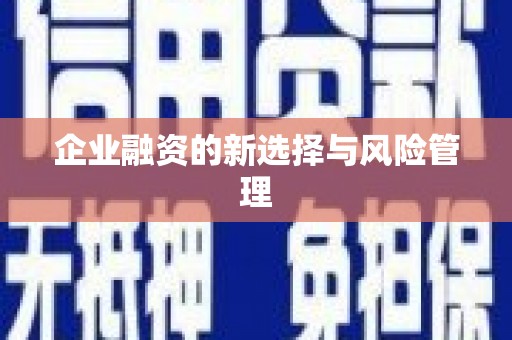 风顺堂区企业融资的新选择与风险管理