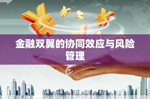 风顺堂区金融双翼的协同效应与风险管理