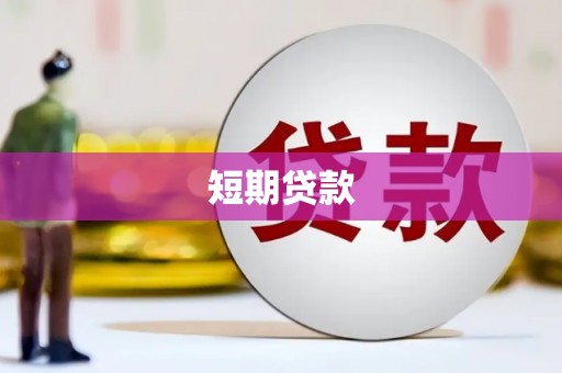 风顺堂区短期贷款